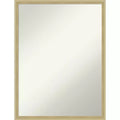 Amanti Art Lucie Champagne Non-Beveled Wood Wall Mirror 25.25 x 19.25 in.