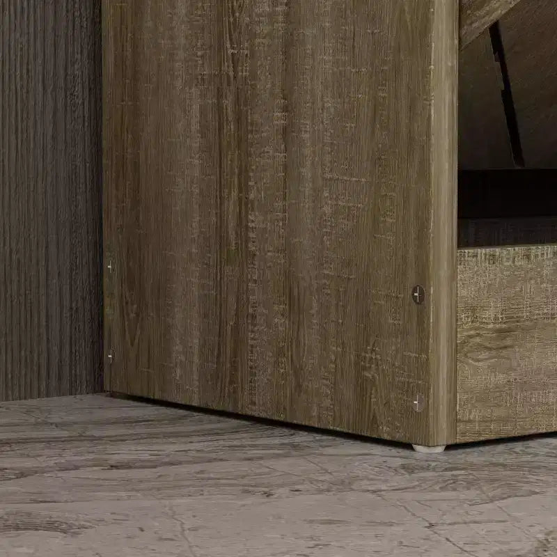 Meuble à Chaussures d'Entrée avec 2 Tiroirs Basculants