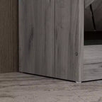 Meuble à Chaussures d'Entrée avec 2 Tiroirs Basculants